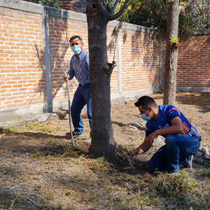 14.equipo-ubs-mexico-plantando-arboles